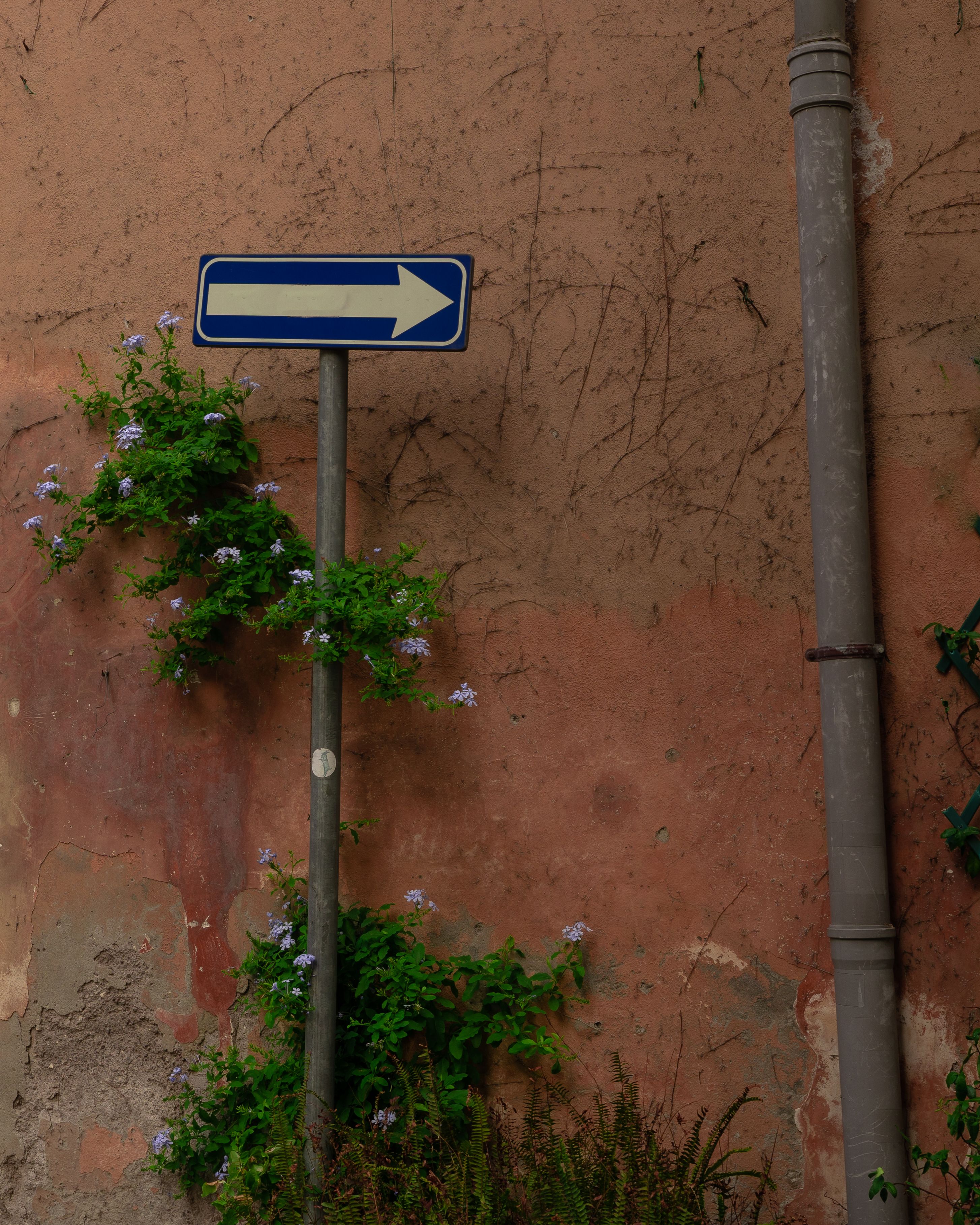 Ristrutturazione casa